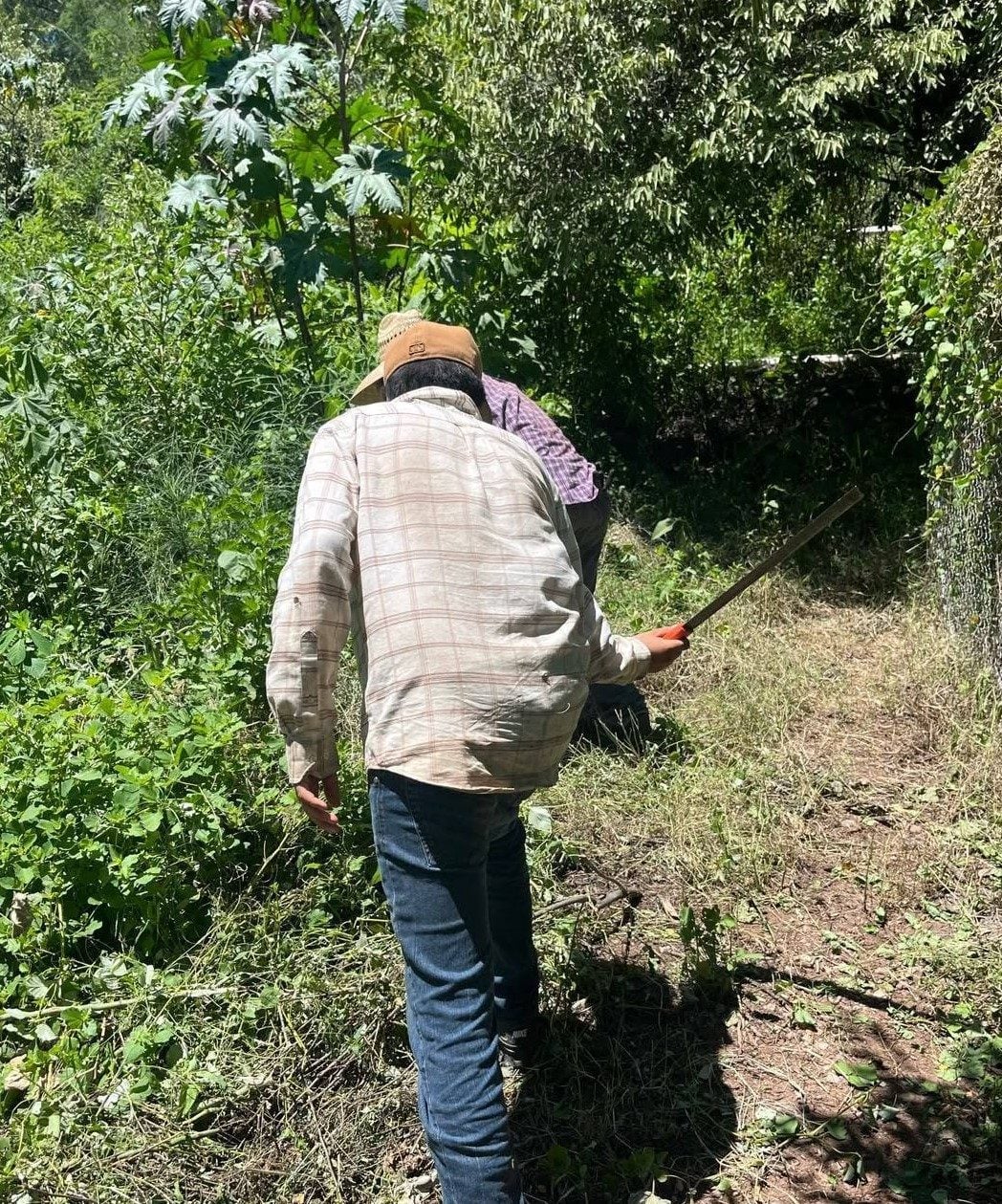 REALIZAN LABORES DE LIMPIEZA Y MANTENIMIENTO EN EL ALJÍBAR DE TEPACHE
